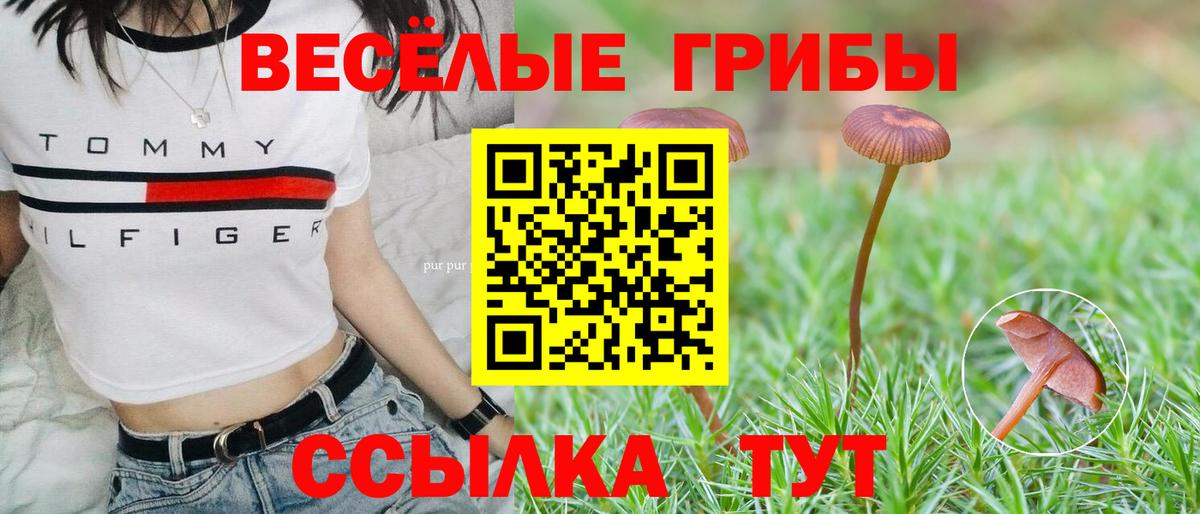 Галлюциногенные грибы Cubensis  Галлюциногенные грибы мицелий  Набережные Челны  Вход с VPN 